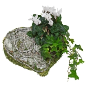 GARDENLINE® Grabbesonderheit 4.99 €