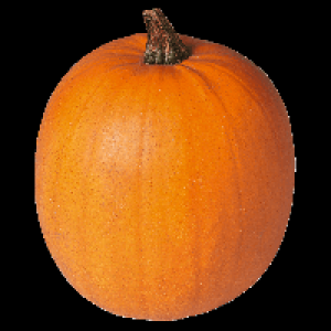 Halloween K&uuml;rbis 2.99&nbsp;&euro;