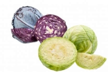 Wei&szlig;kohl oder Rotkohl 1.99&nbsp;&euro;