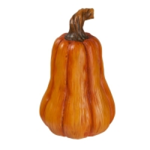 Deko-Kürbis in verschiedenen Größen 3.19 €