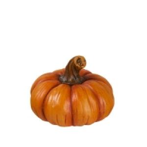 Deko-Kürbis in verschiedenen Größen 1.59 €