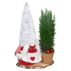 Weihnachts-Arrangement