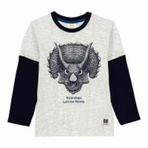 Jungen-Shirt mit Dino-Frontaufdruck 4.99 €