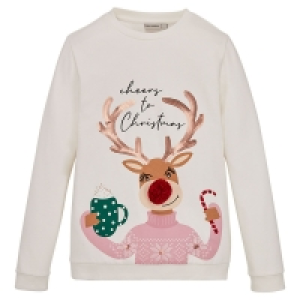 BLUE MOTION Damen Weihnachtspullover oder -sweatshirt 9.99 €