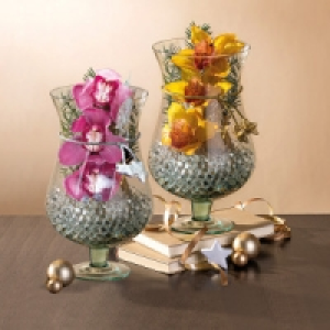Cymbidium-Arrangement 9.99 €