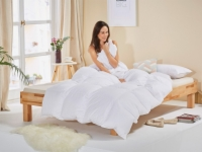 HÄUSSLING Daunen-Kassettenbettdecke, warm, hochwertig, ideal als Ganzj 109.00 €