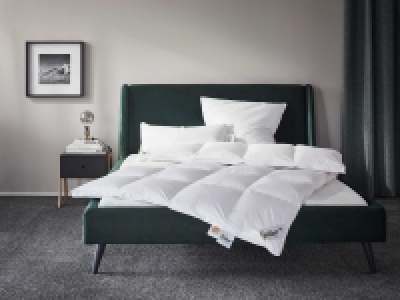 Fjödur Luxus Gänsedaunen-Kassettenbettdecke extra warm 149.00 €