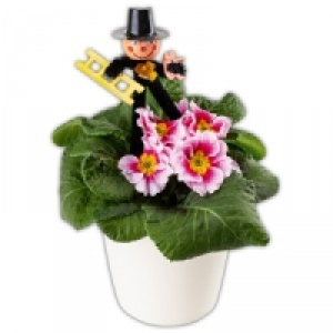 Silvesterprimel 0.99 €
