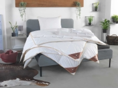 HÄUSSLING Royal Daunen-Kassettenbettdecke warm 179.00 €