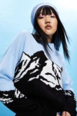 Pullover mit Intarsienmotiv 8.99 €