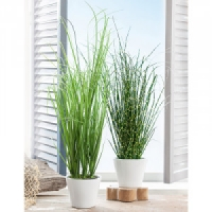 XL-Deko-Grasbusch 4.99 €