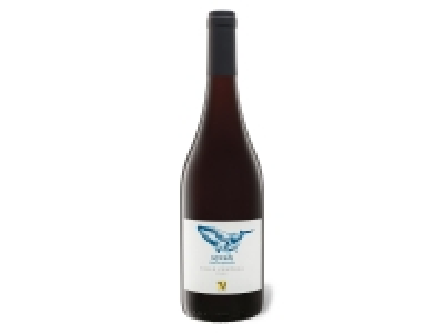 VIAJERO Syrah Chile Valle Central trocken, Rotwein 2020 3.99 €