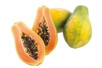 Denns  Papaya