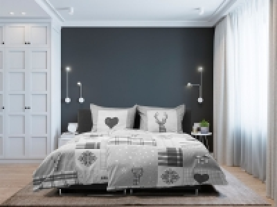 Dobnig Biberbettwäsche Elch silber-anthrazit 19.99 €