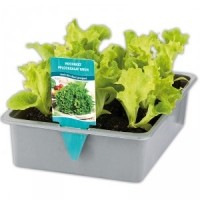 Norma  Hochbeet-Salat-/ Gemüsepflanzen Mix