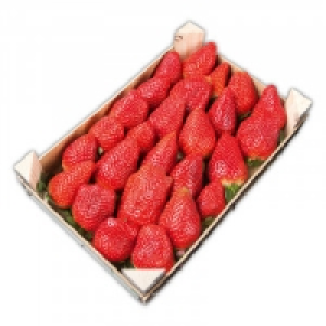 Premium Erdbeeren 1.99 €
