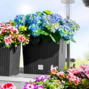 Blumentopf 15.99 €