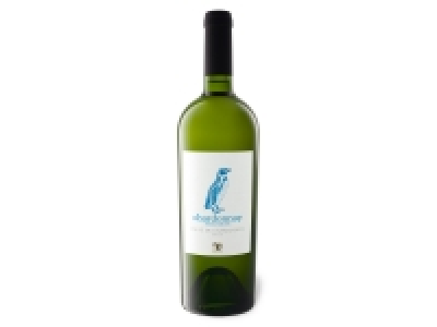 VIAJERO Chardonnay Gran Reserva Valle de Casablanca trocken, Weißwein  5.99 €