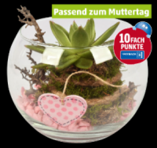 Wunderschönesbepflanztes Gefäß