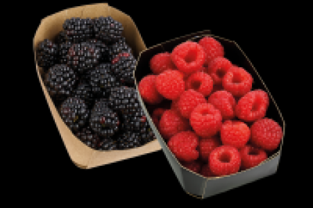 Denns  Himbeeren oder Brombeeren