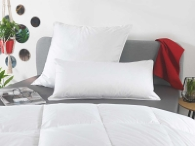 Sannwald 3-Kammer-Kopfkissen mit Federn und Daunen 44.99 €