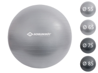 Schildkröt Fitness Gymnastikball für Körpergrößen von 160-185 cm 13.49 €