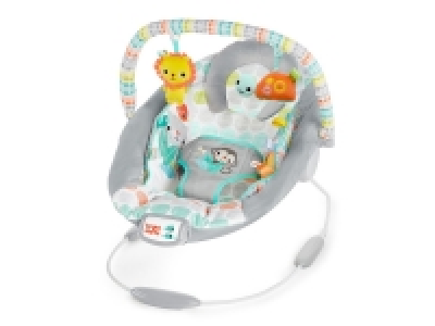 Bright Starts(TM) Cradling Bouncer - Whimsical Wild