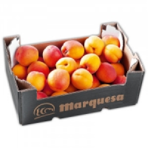Premium Aprikosen 15.99 €