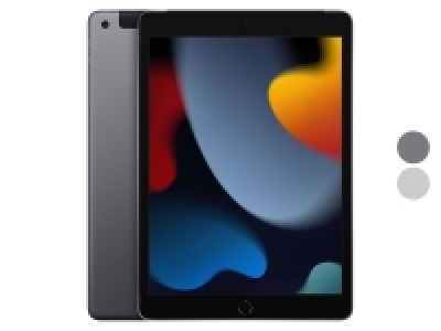 Apple Ipad