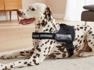 ZOOFARI® Hundegeschirr, mit weicher Fütterung für angenehmes Tragegefü 4.99 €