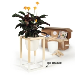CREATE! by OBI DIY Pflanzständer Klein 14.99 €