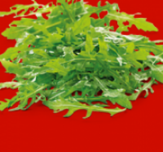 Rucola-Salat