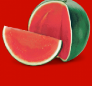 Wassermelone Fashion