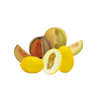 Edeka  Galiamelone, Cantaloupemelone oder Honigmelone