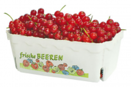 Denns  Rote Johannisbeeren