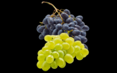 Trauben 3.99 €
