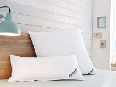 Lidl Balette Balette Daunen-3-Kammer-Kopfkissen, Balette Edition