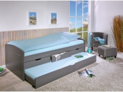 Inter Link Funktionsbett Rieka
