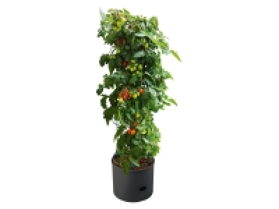 Lidl Parkside PARKSIDE Tomaten-Pflanzgefäß, Ø 37,5 cm, mit Rankhilfe