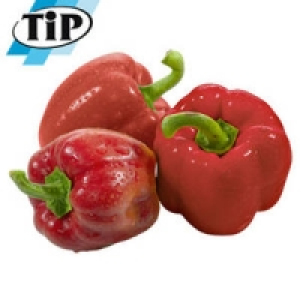 Spanien Paprika, rot 1.19 €