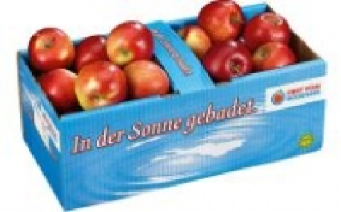 Tafeläpfel rot 2.49 €