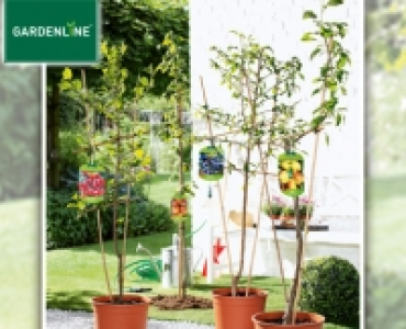 GARDENLINE®Spalier- oder Säulenobst