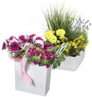 Sommerarrangement