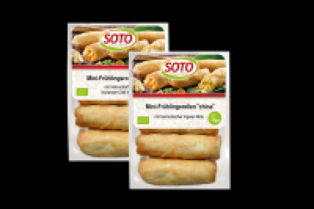Denns Soto Frühlingsrollen