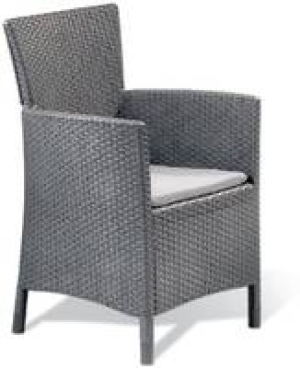 Dining-Sessel Montana 49.99 €