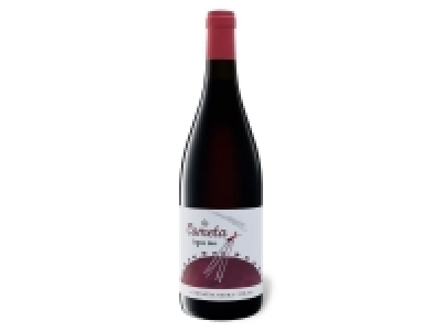 Lidl  BIO Lo Cometa Garnatxa Negra/Syrah Terra Alta DO trocken, Rotwein 2019