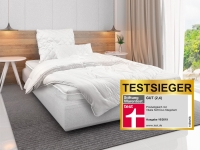 Lidl Beco BeCo Winter-Bettdecke, Duo-Steppett »Royal Soft«, TESTSIEGER 2019 Stif