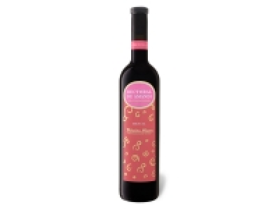 Rectoral de Amandi Mencía Ribeira Sacra DOP trocken, Rotwein 2019