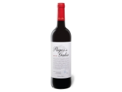 Pagos del Galir Mencía Valdeorras DO trocken, Rotwein 2015