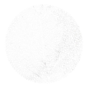 Deckchen mit Baum-Motiv, Ø ca. 38cm 31.99 €